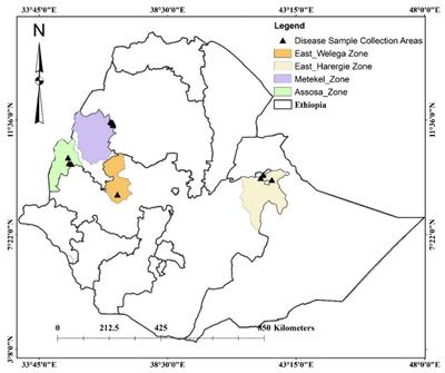 Pathotype determination of sorghum anthracnose (Colletotrichum sublineola) isolates from Ethiopia using sorghum differentials